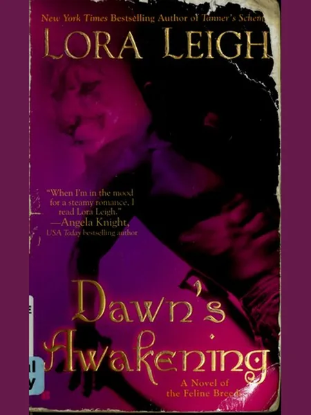 Dawn's Awakening cover
