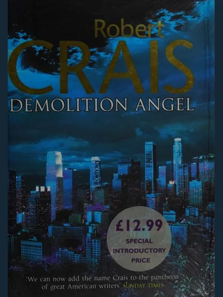 Demolition Angel cover