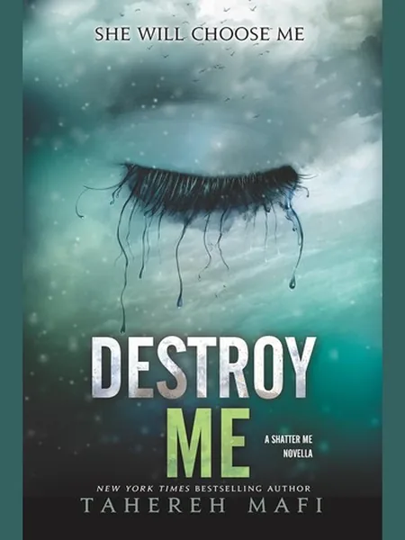 Destroy Me, cover of another edition (the Allen & Unwin 2013 cover is not yet photographed)