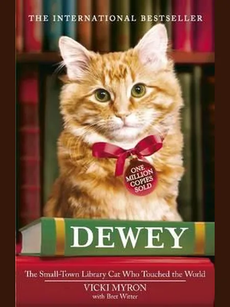 Dewey cover