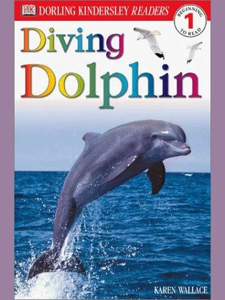 Diving Dolphin cover