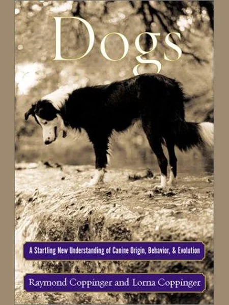Dogs cover
