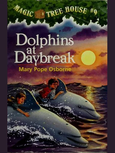 Dolphins at Daybreak cover