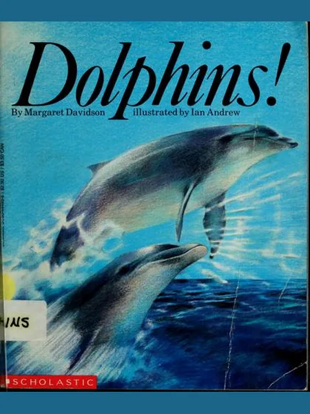 Dolphins cover