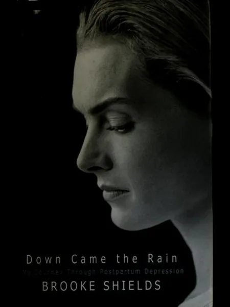 Down Came the Rain cover