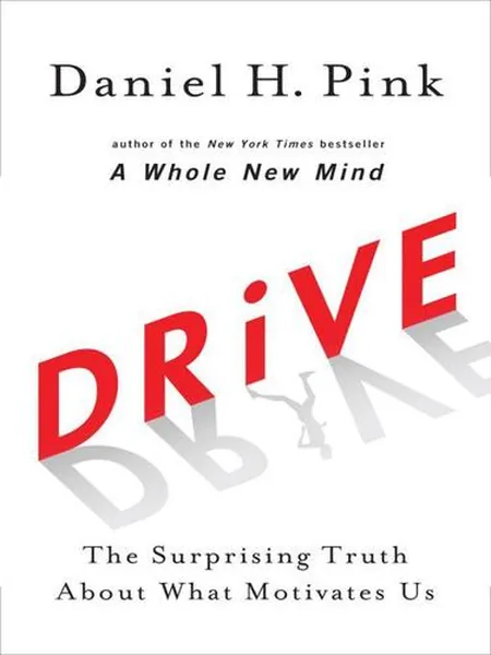 Drive cover, Canongate 2010