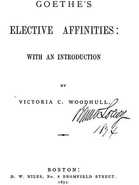 Elective Affinities cover, D. W. Niles 1872