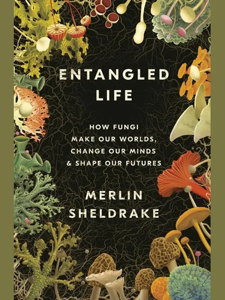 Entangled Life cover