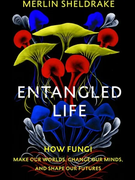 Entangled Life cover