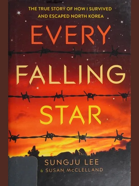 Every Falling Star cover