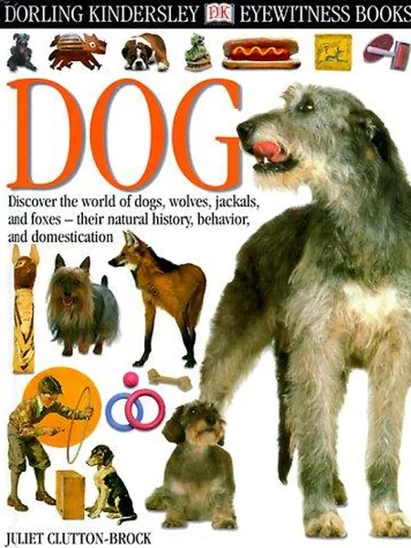 Eyewitness cover