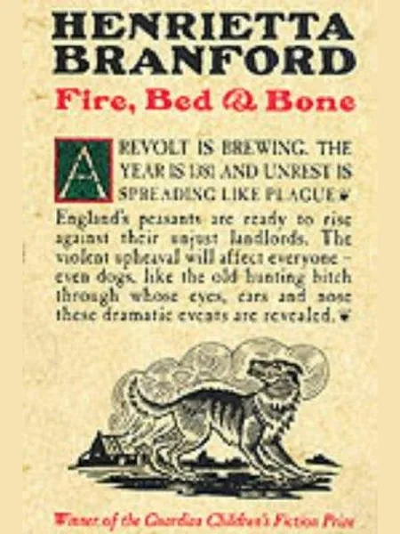 Fire, Bed and Bone cover