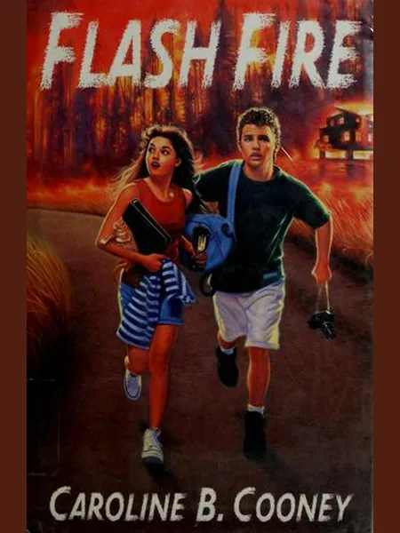 Flash Fire cover