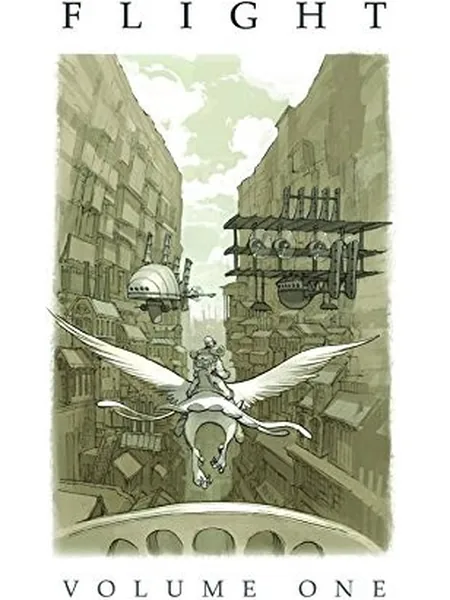 Flight cover