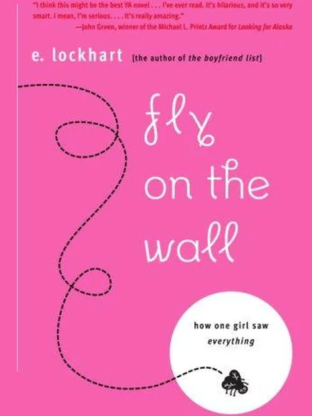 Fly on the Wall cover
