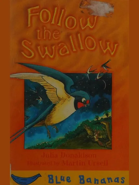 Follow the Swallow cover