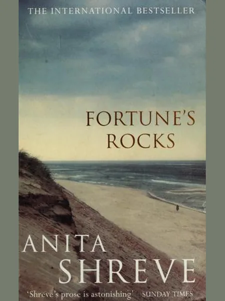 Fortune's Rocks cover