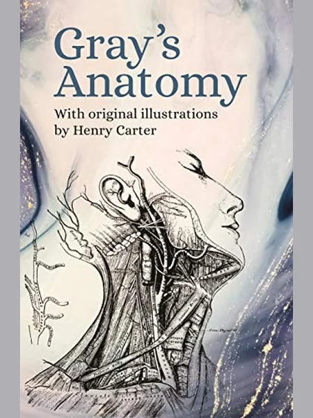 Gray's Anatomy cover