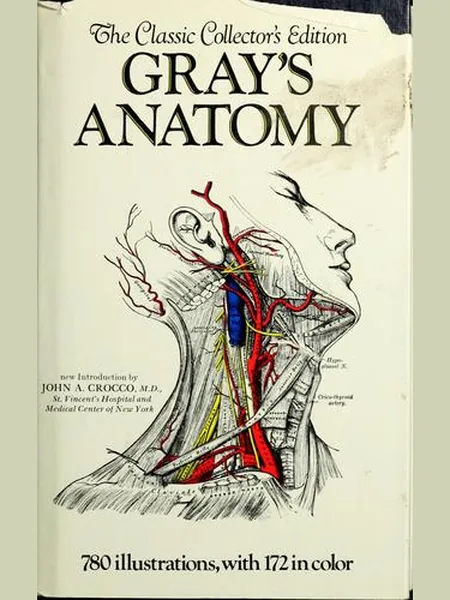 Gray's Anatomy first edition cover, Random House 1991