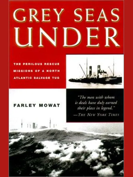 Grey Seas Under cover
