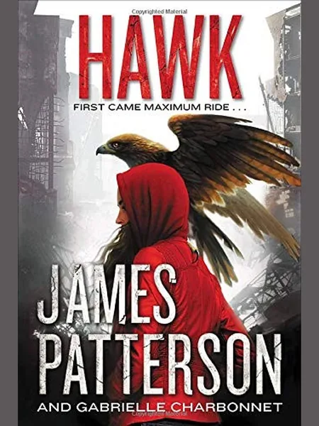 Hawk, cover of another edition (the Little, Brown 2020 cover is not yet photographed)