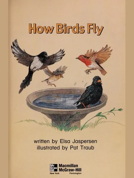 How Birds Fly cover