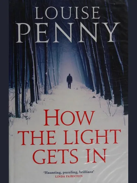 How the Light Gets in cover