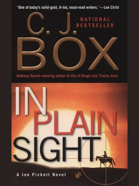 In Plain Sight cover