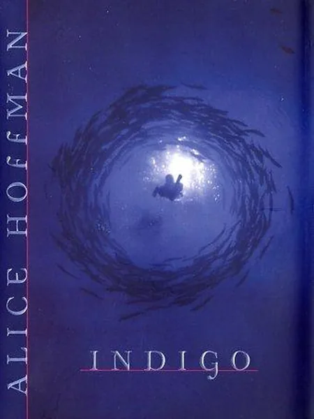 Indigo cover
