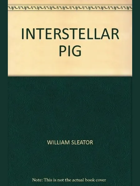 Interstellar Pig cover