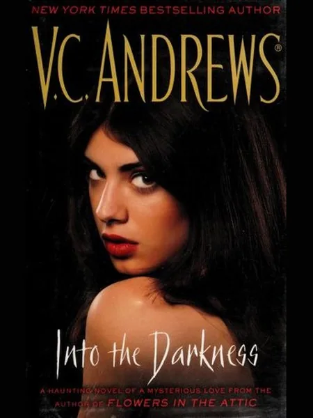 Into the Darkness cover