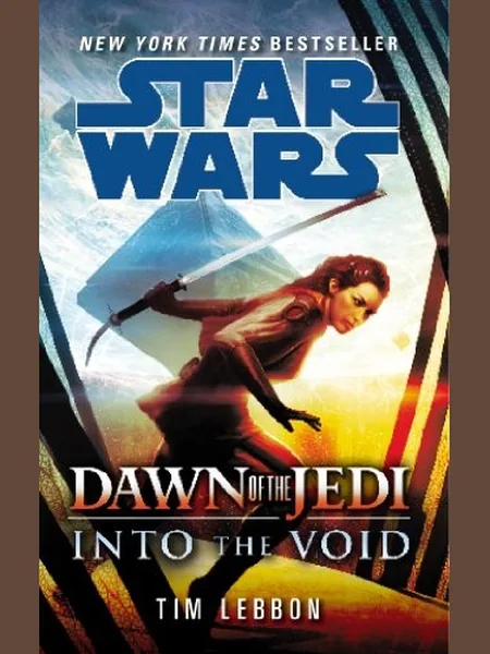 Into the Void cover