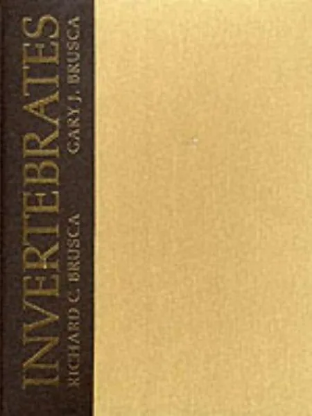Invertebrates cover