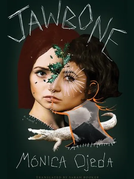 Jawbone cover