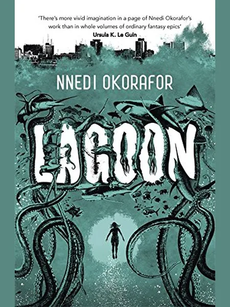Lagoon cover