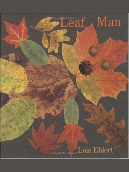 Leaf Man first edition cover, Harcourt 2005