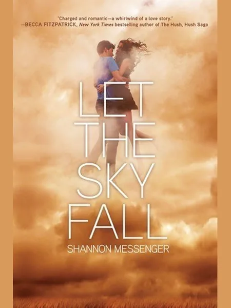 Let the Sky Fall cover