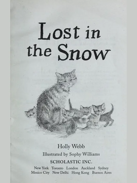 Lost in the Snow cover