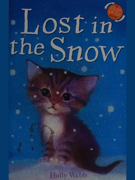 Lost in the Snow cover