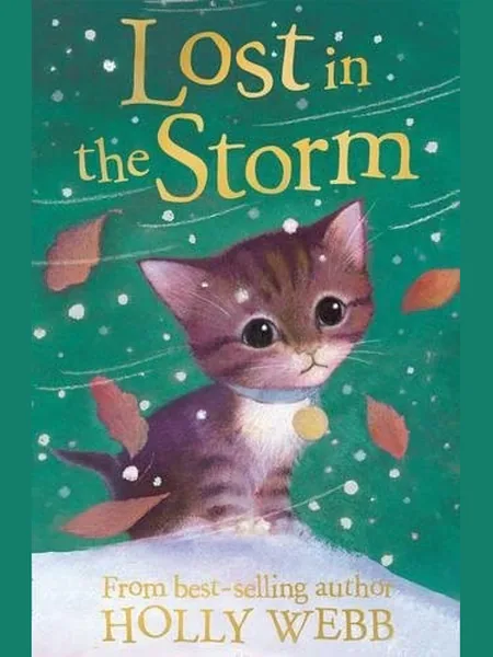 Lost in the Storm cover