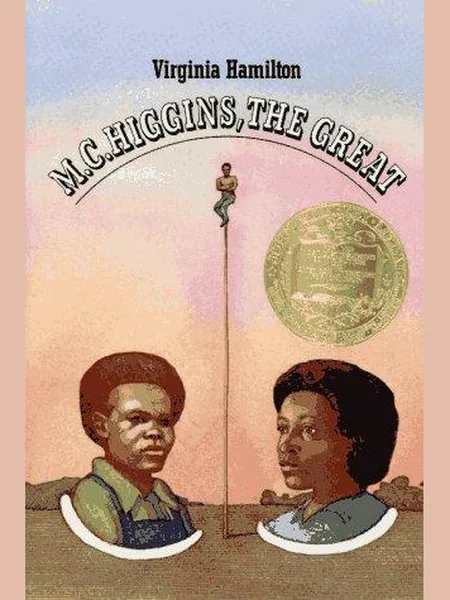 M.C. Higgins, the Great first edition cover, Macmillan 1974