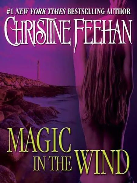 Magic in the Wind first edition cover, Penguin Books 2008