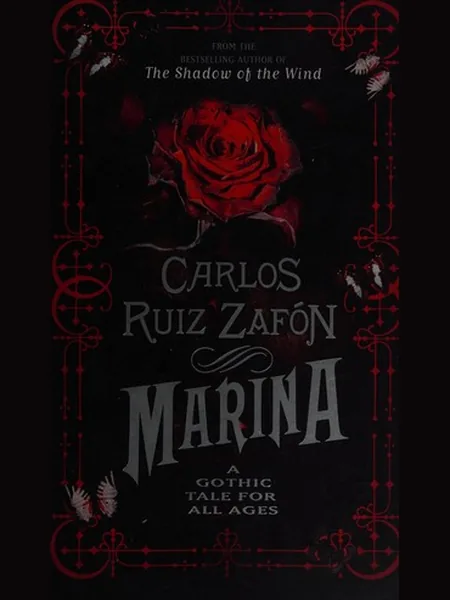 Marina cover