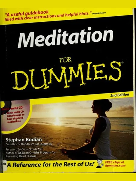 Meditation for Dummies first edition cover, Wiley 2006