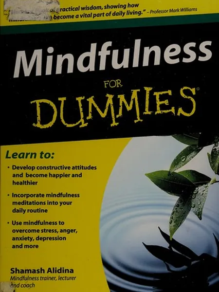 Mindfulness for Dummies, cover of another edition (the Wiley & Sons, Incorporated, John 2010 cover is not yet photographed)