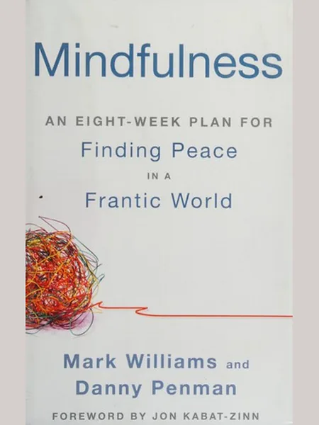 Mindfulness cover