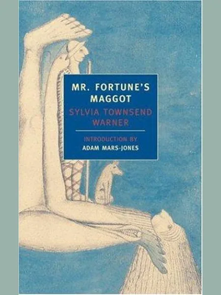 Mr. Fortune's Maggot cover
