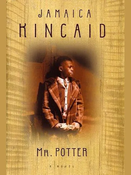 Mr. Potter, cover of another edition (the Chatto & Windus 2002 cover is not yet photographed)