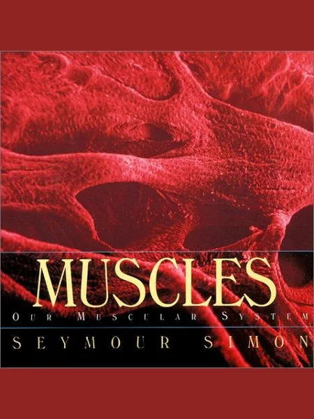Muscles cover