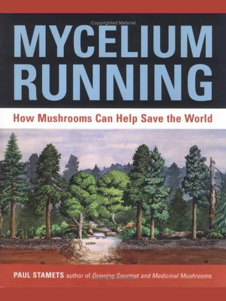 Mycelium Running cover